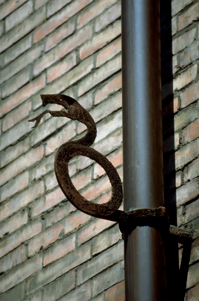 detail of Villa Galeotti-Flori: snake