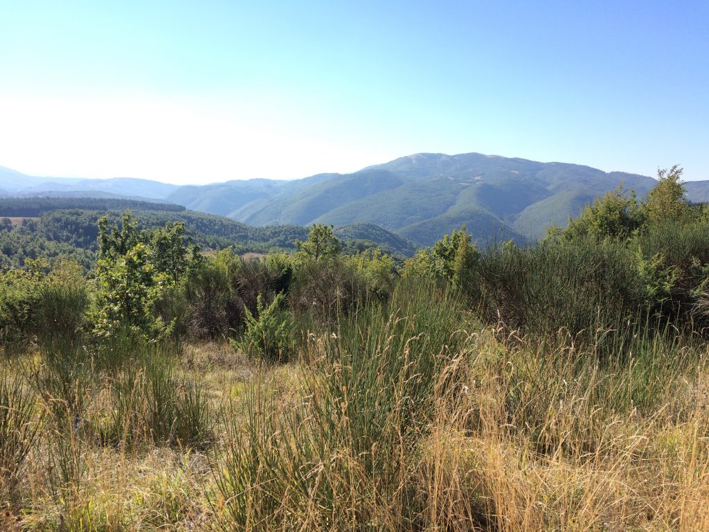 A view over the soft umbrian mountains