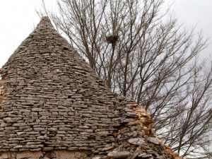 roof of a trullo