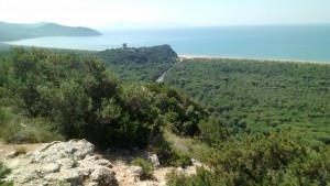 View from the hill to the sea