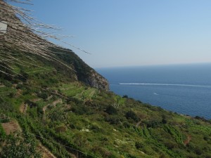 Pontine Islands