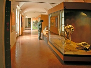 Archeological Museum Finale Ligure