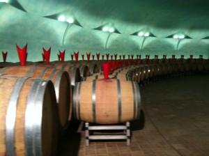 Sagrantino's barrels, Castelbuono property