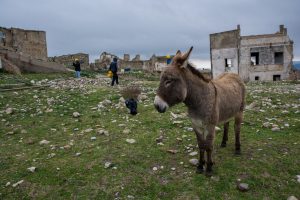 Basilicata: Donkey at Craco