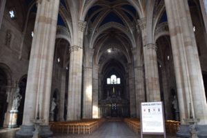 Certosa di Pavia - Basilica di Santa Maria delle Grazie - first view inside the church - a 'stolen' photo